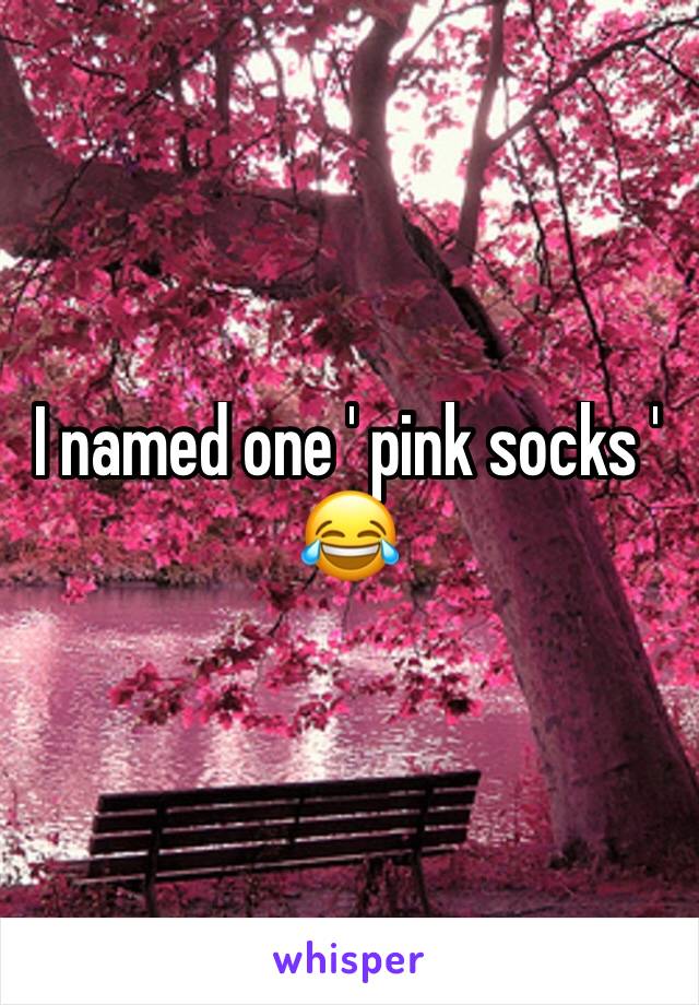 I named one ' pink socks '
😂