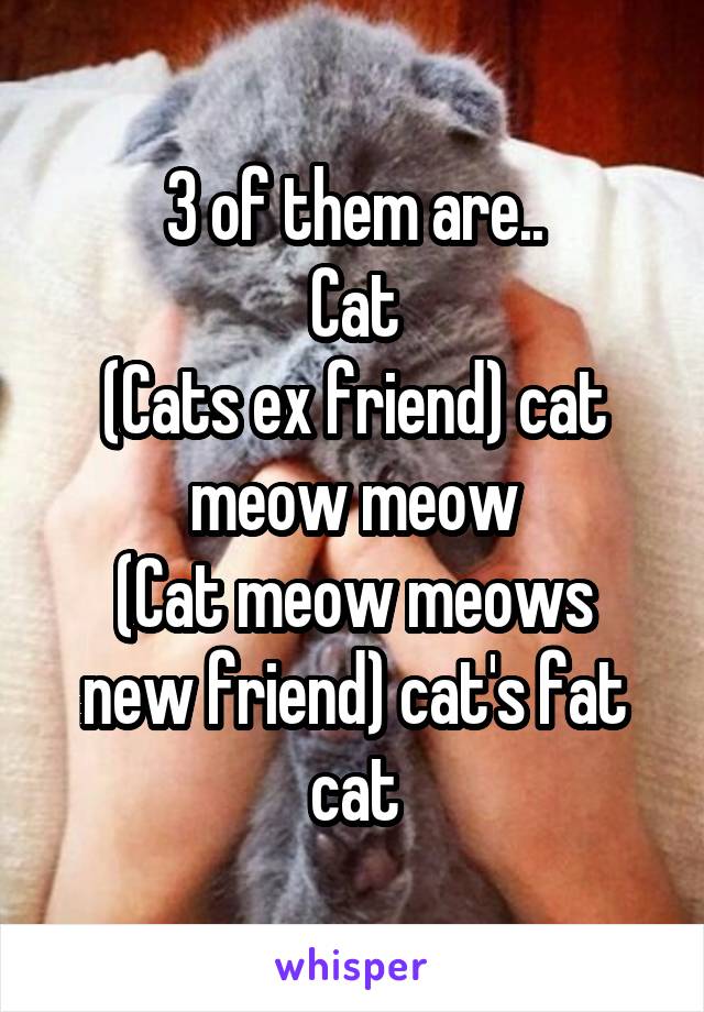 3 of them are..
Cat
(Cats ex friend) cat meow meow
(Cat meow meows new friend) cat's fat cat
