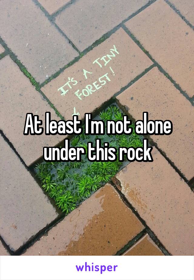 At least I'm not alone under this rock