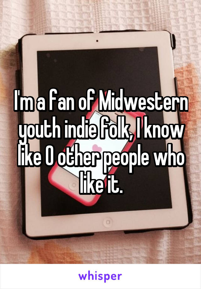 I'm a fan of Midwestern youth indie folk, I know like 0 other people who like it.