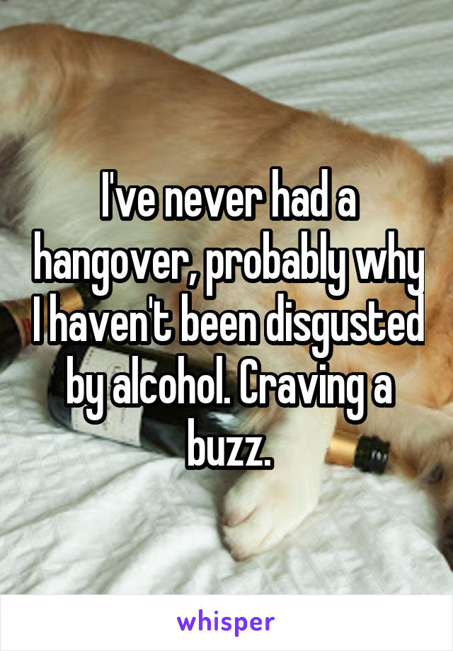 I've never had a hangover, probably why I haven't been disgusted by alcohol. Craving a buzz.