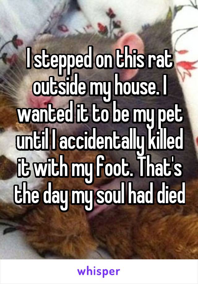 I stepped on this rat outside my house. I wanted it to be my pet until I accidentally killed it with my foot. That's the day my soul had died 