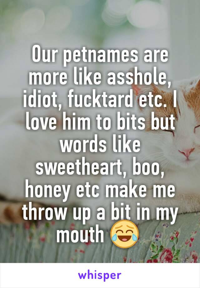 Our petnames are more like asshole, idiot, fucktard etc. I love him to bits but words like sweetheart, boo, honey etc make me throw up a bit in my mouth 😂 