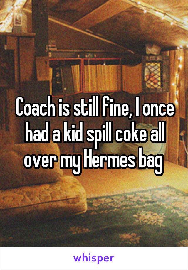 Coach is still fine, I once had a kid spill coke all over my Hermes bag 