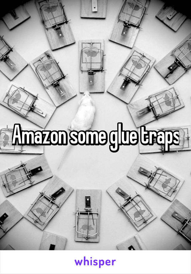 Amazon some glue traps