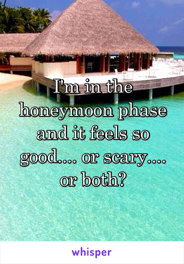 I'm in the honeymoon phase and it feels so good.... or scary.... or both?