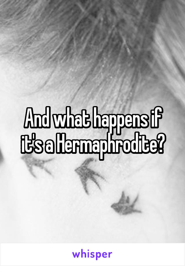 And What Happens If Its A Hermaphrodite