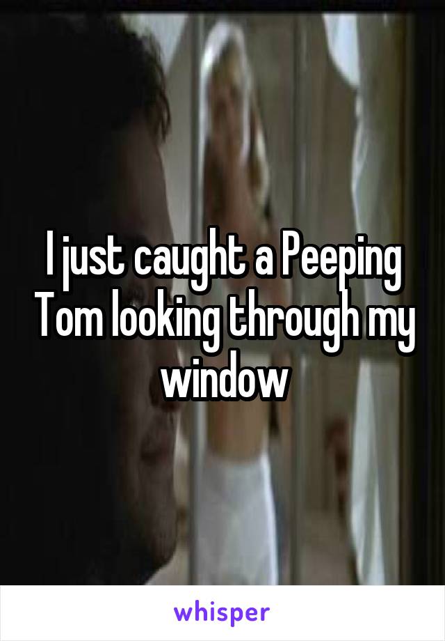 I just caught a Peeping Tom looking through my window