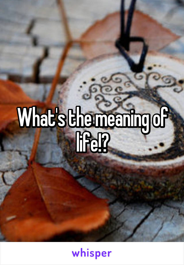 What's the meaning of life!?