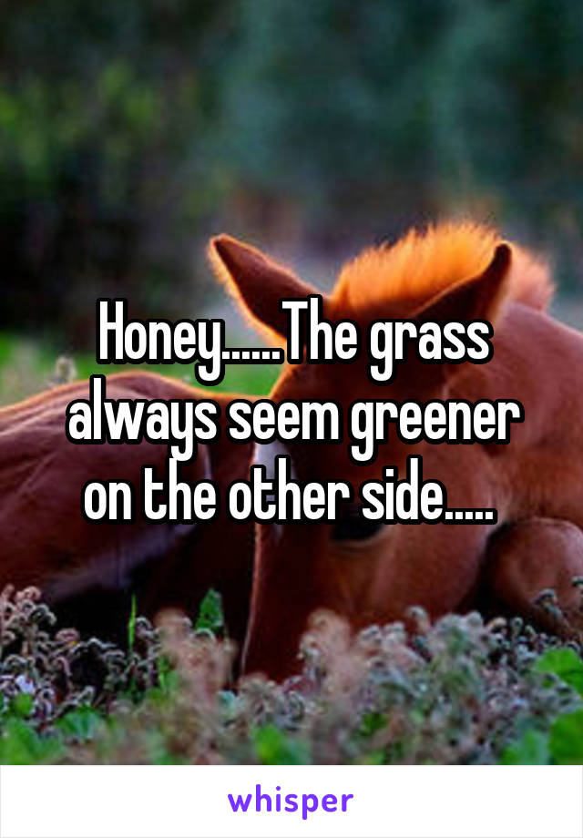 Honey......The grass always seem greener on the other side..... 