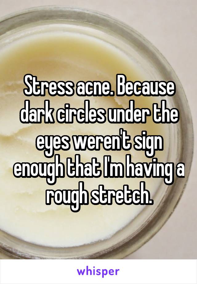 Stress acne. Because dark circles under the eyes weren't sign enough that I'm having a rough stretch.