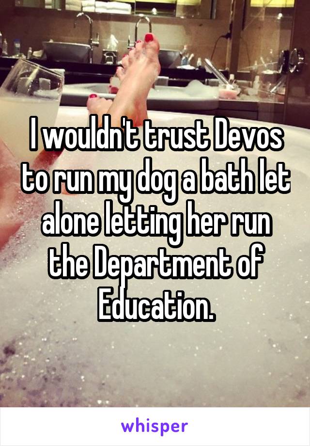 I wouldn't trust Devos to run my dog a bath let alone letting her run the Department of Education.