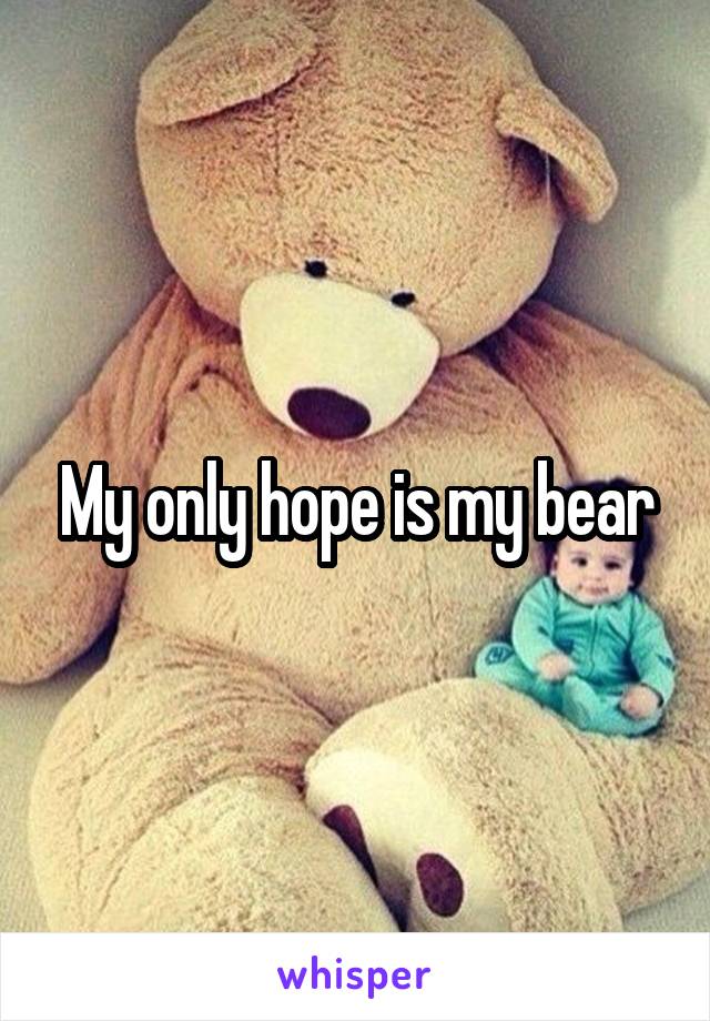 My only hope is my bear
