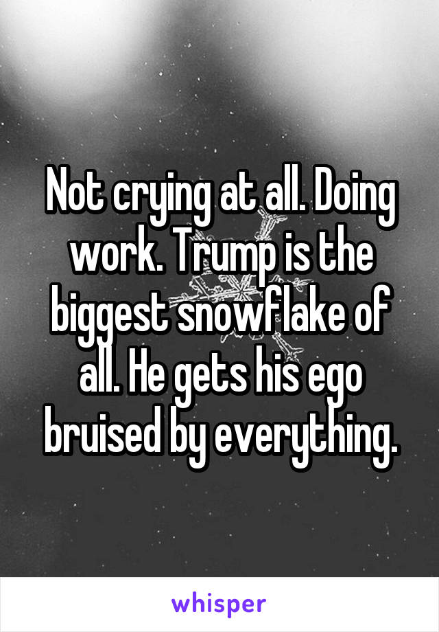 Not crying at all. Doing work. Trump is the biggest snowflake of all. He gets his ego bruised by everything.