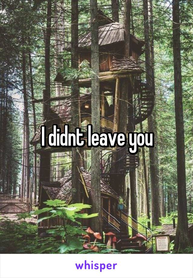 I didnt leave you