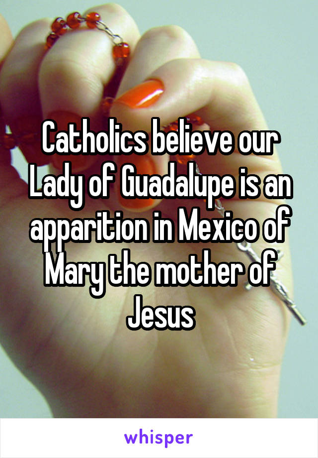 Catholics believe our Lady of Guadalupe is an apparition in Mexico of Mary the mother of Jesus