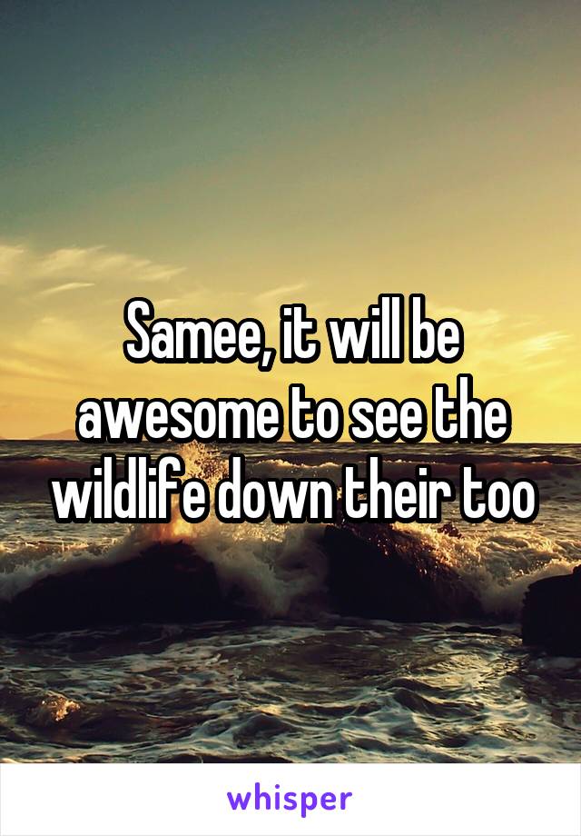 Samee, it will be awesome to see the wildlife down their too