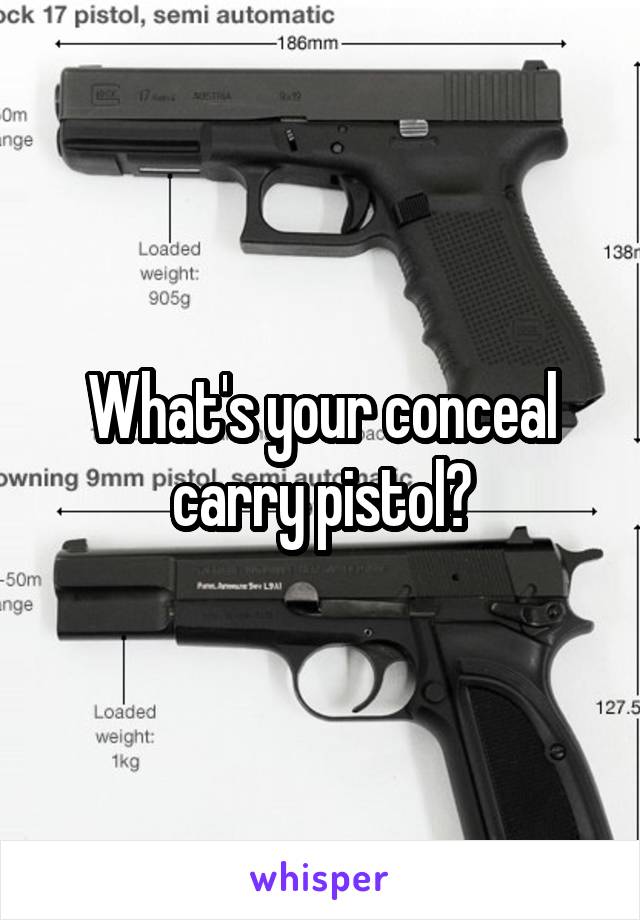 What's your conceal carry pistol?