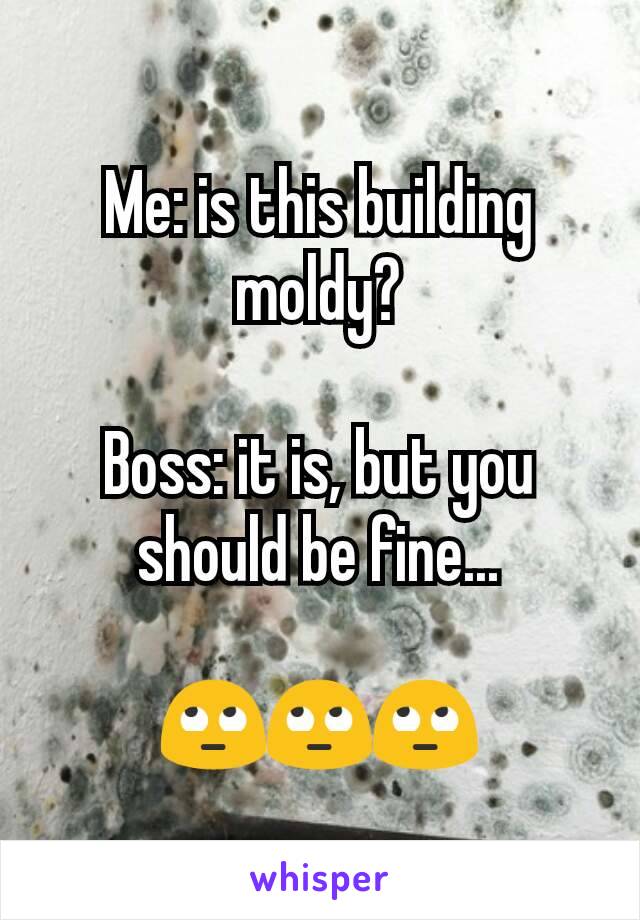 Me: is this building moldy?

Boss: it is, but you should be fine...

🙄🙄🙄