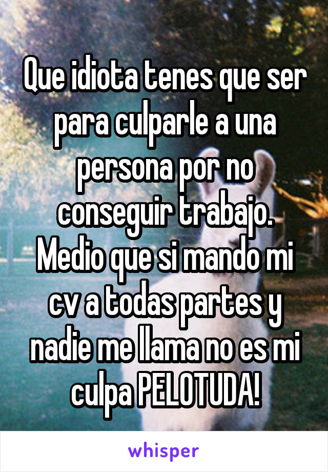 Que idiota tenes que ser para culparle a una persona por no conseguir trabajo.
Medio que si mando mi cv a todas partes y nadie me llama no es mi culpa PELOTUDA!