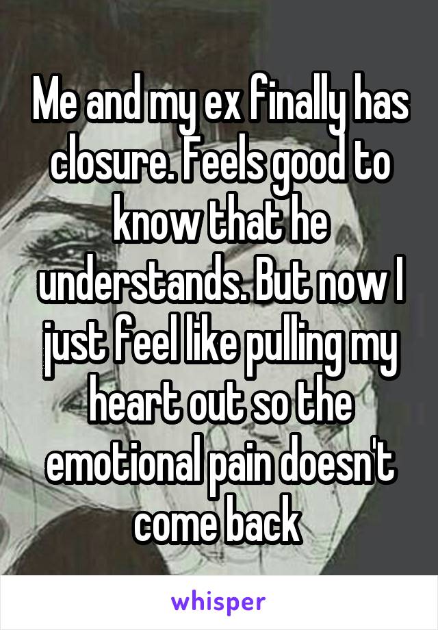 Me and my ex finally has closure. Feels good to know that he understands. But now I just feel like pulling my heart out so the emotional pain doesn't come back 