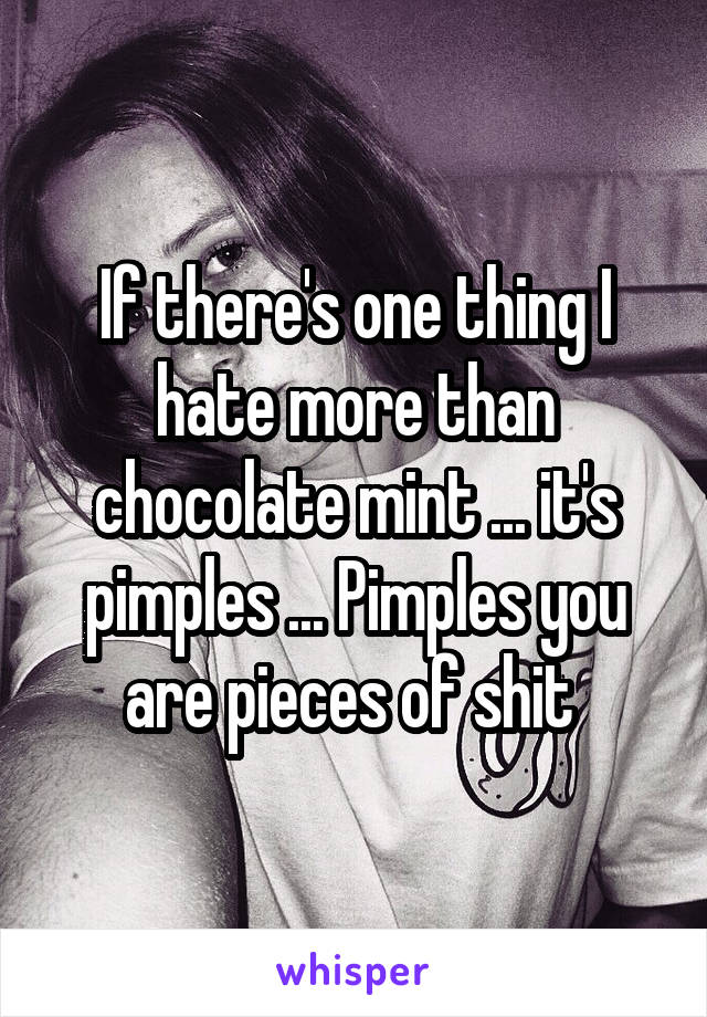 If there's one thing I hate more than chocolate mint ... it's pimples ... Pimples you are pieces of shit 