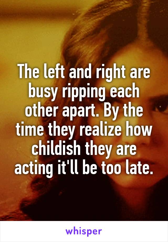 The left and right are busy ripping each other apart. By the time they realize how childish they are acting it'll be too late.