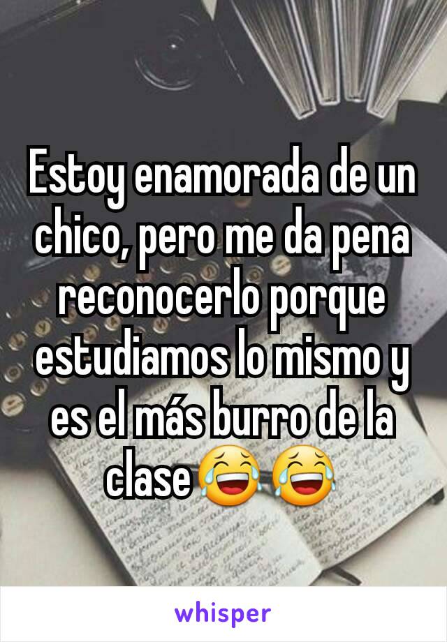 Estoy enamorada de un chico, pero me da pena reconocerlo porque estudiamos lo mismo y es el más burro de la clase😂😂