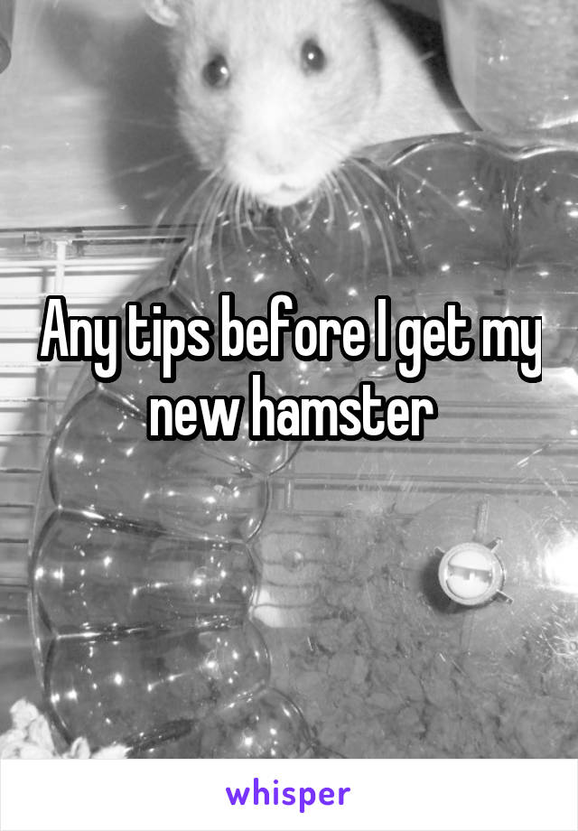 Any tips before I get my new hamster
