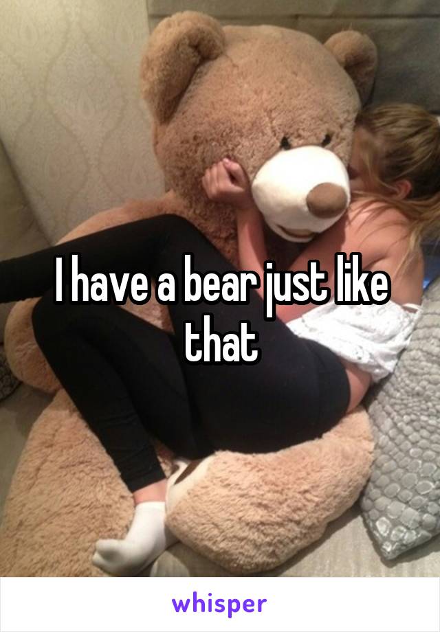 I have a bear just like that