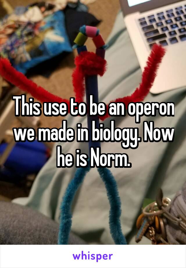 This use to be an operon we made in biology. Now he is Norm.