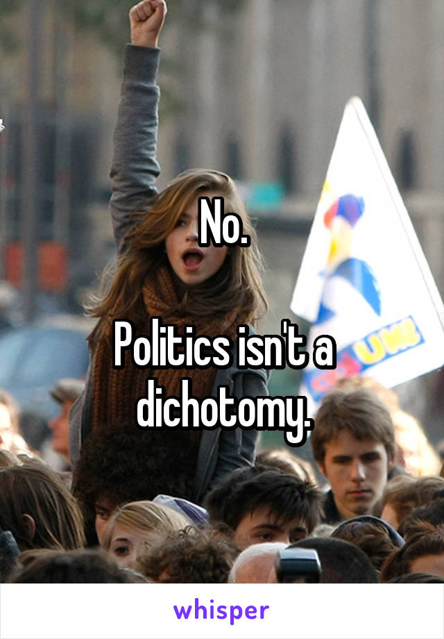 No.

Politics isn't a dichotomy.