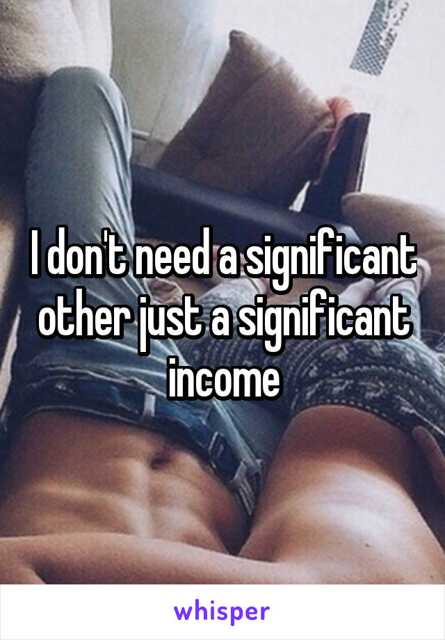 I don't need a significant other just a significant income