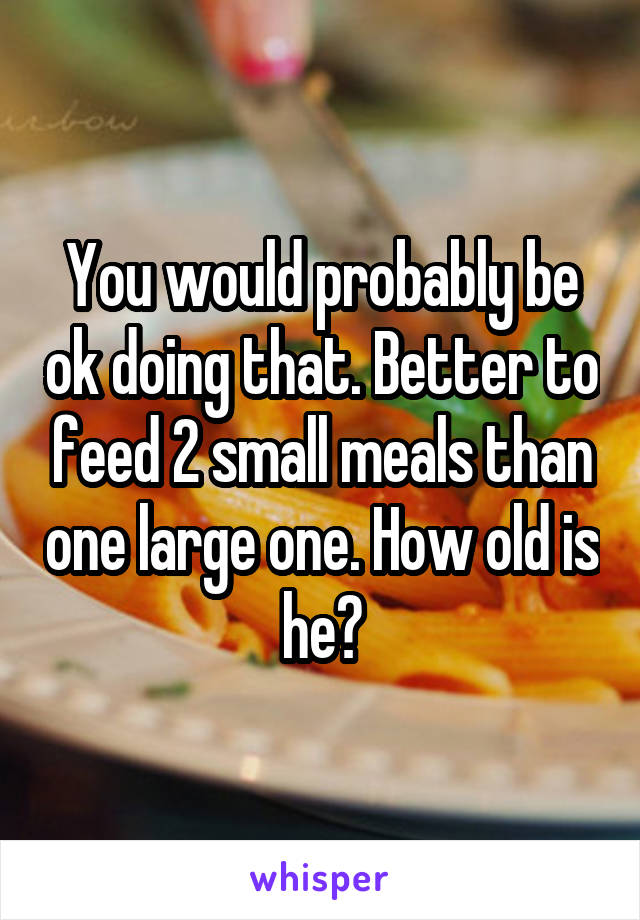 You would probably be ok doing that. Better to feed 2 small meals than one large one. How old is he?