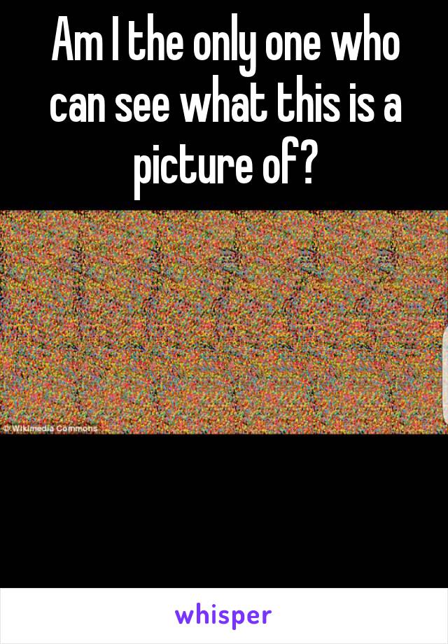 Am I the only one who can see what this is a picture of?






