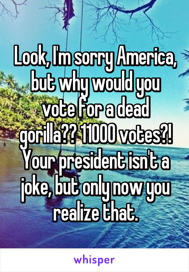 Look, I'm sorry America, but why would you vote for a dead gorilla?? 11000 votes?! Your president isn't a joke, but only now you realize that.