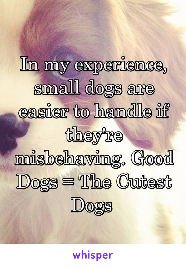 In my experience, small dogs are easier to handle if they're misbehaving. Good Dogs = The Cutest Dogs 