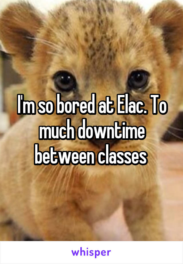 I'm so bored at Elac. To much downtime between classes 