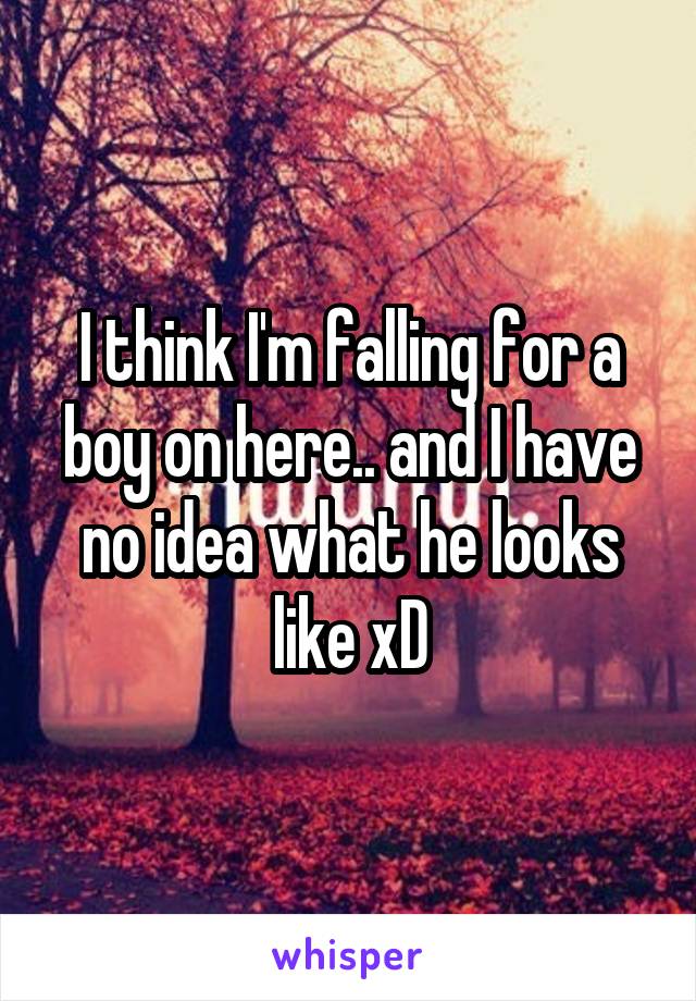 I think I'm falling for a boy on here.. and I have no idea what he looks like xD