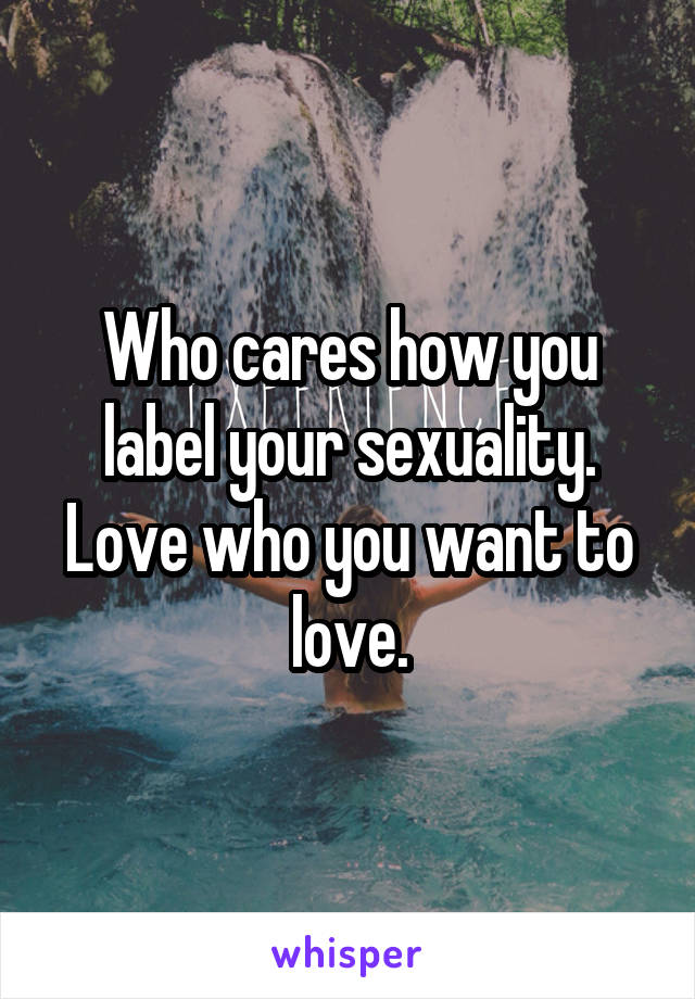 Who cares how you label your sexuality. Love who you want to love.