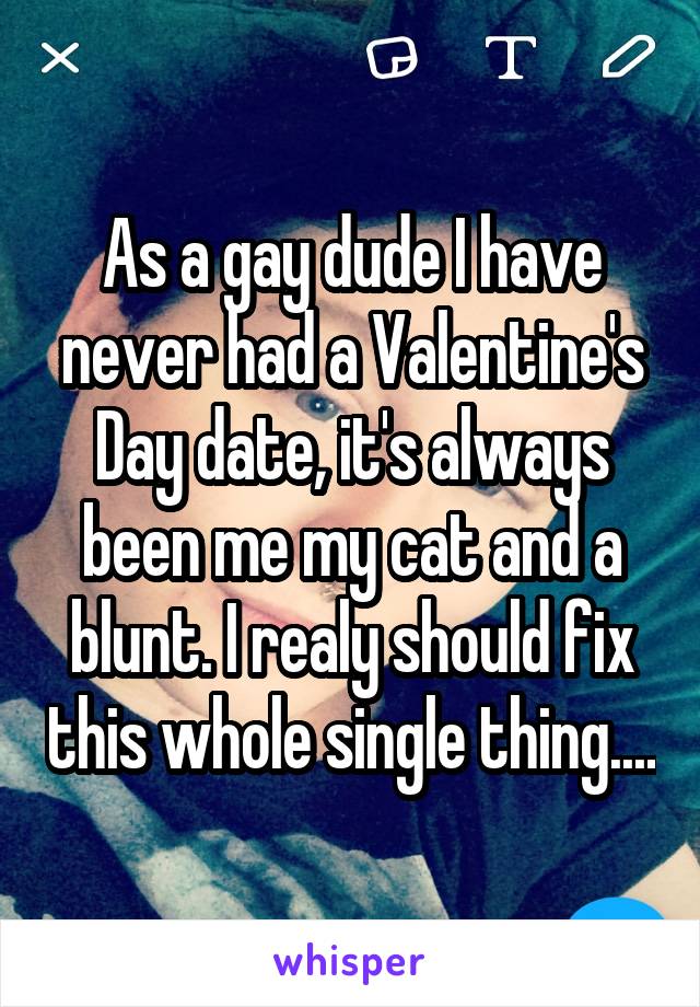 As a gay dude I have never had a Valentine's Day date, it's always been me my cat and a blunt. I realy should fix this whole single thing....