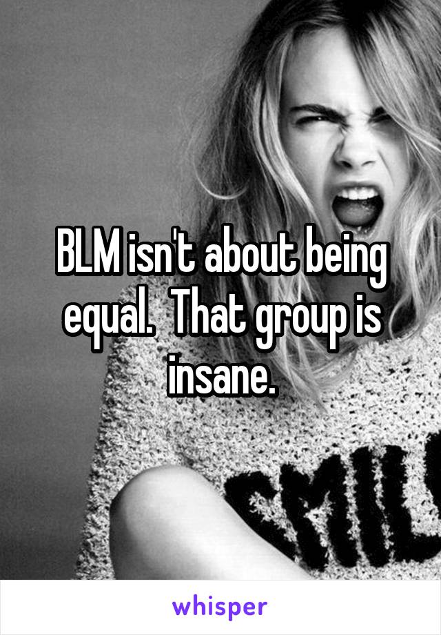 BLM isn't about being equal.  That group is insane.