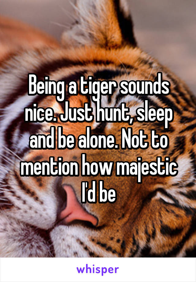 Being a tiger sounds nice. Just hunt, sleep and be alone. Not to mention how majestic I'd be