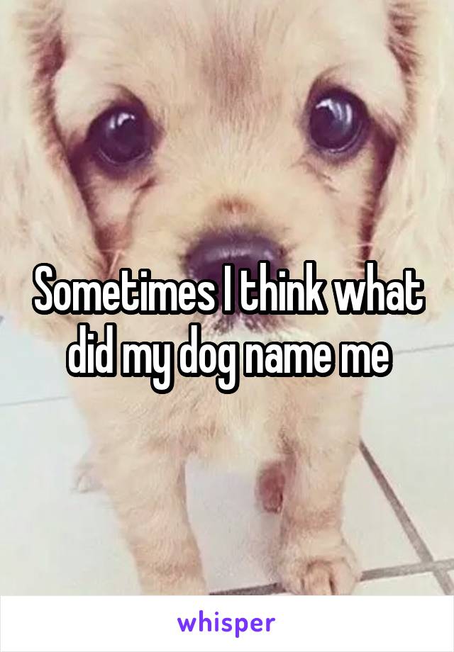 Sometimes I think what did my dog name me