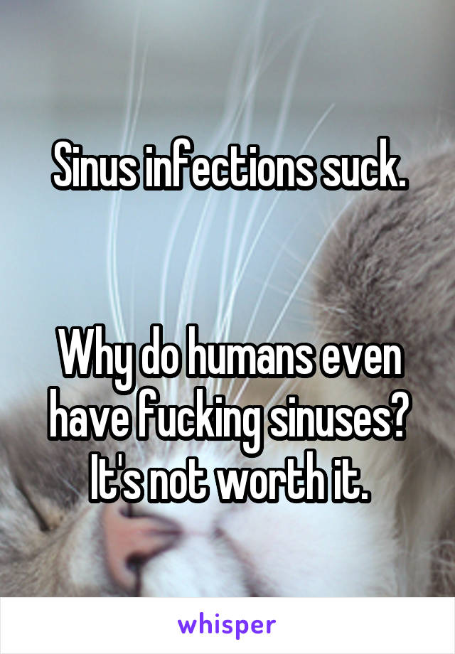 Sinus infections suck.


Why do humans even have fucking sinuses? It's not worth it.