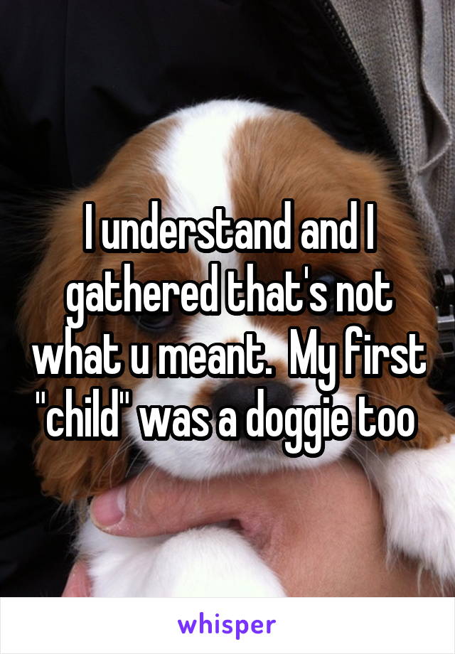 I understand and I gathered that's not what u meant.  My first "child" was a doggie too 