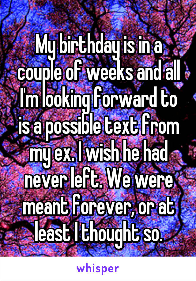 My birthday is in a couple of weeks and all I'm looking forward to is a possible text from my ex. I wish he had never left. We were meant forever, or at least I thought so.