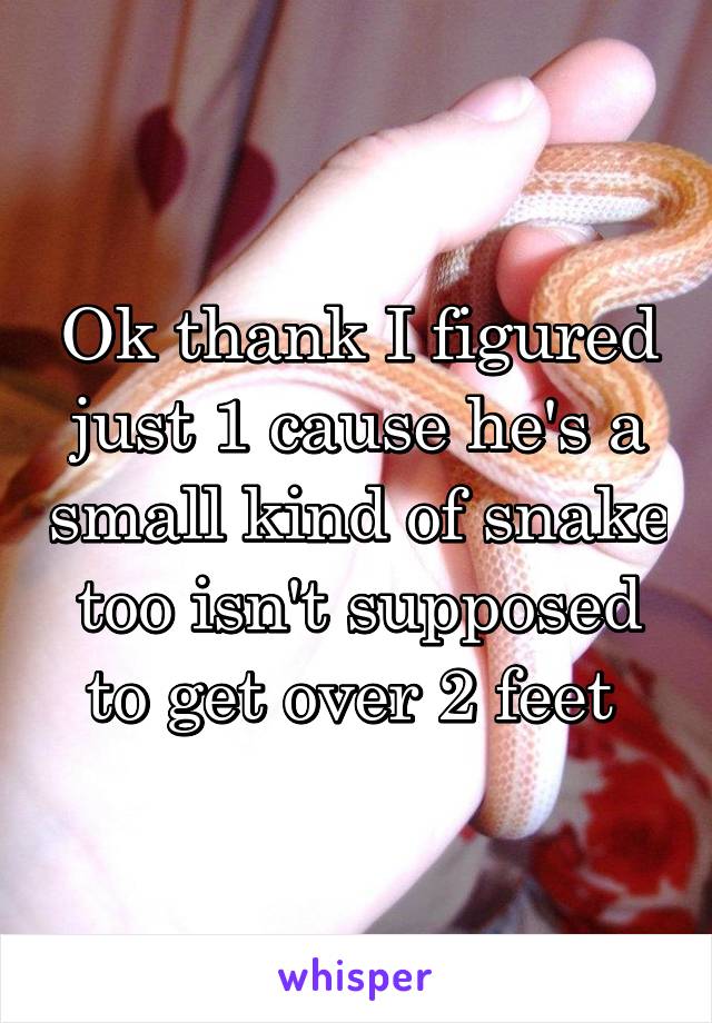 Ok thank I figured just 1 cause he's a small kind of snake too isn't supposed to get over 2 feet 