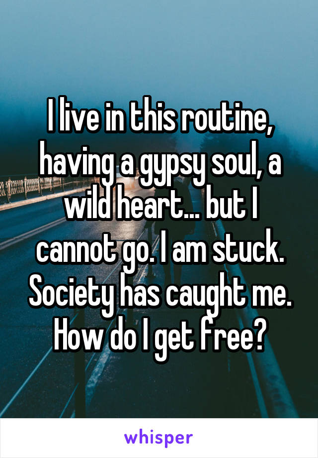 I live in this routine, having a gypsy soul, a wild heart... but I cannot go. I am stuck. Society has caught me. How do I get free?