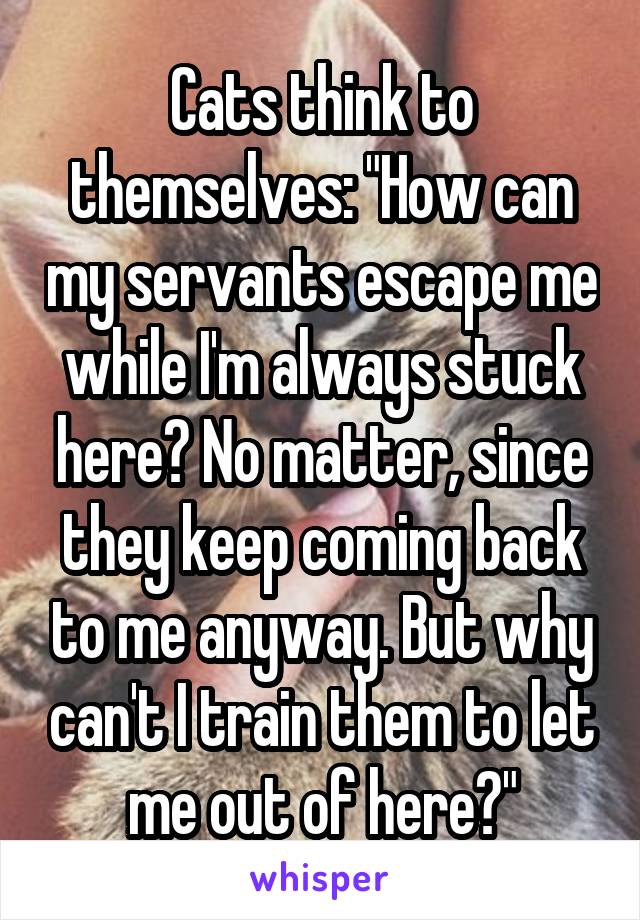 Cats think to themselves: "How can my servants escape me while I'm always stuck here? No matter, since they keep coming back to me anyway. But why can't I train them to let me out of here?"